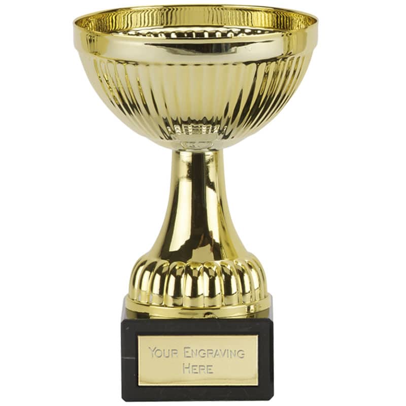 Voyager Cup from - Robert Chapman Presentations