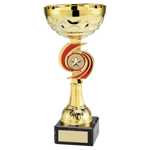 Voyager Cup from - Robert Chapman Presentations